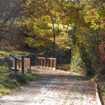 giardino botanico sant'eufemia a Maiella